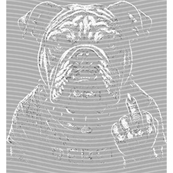 Animal Text Series-AT 3528